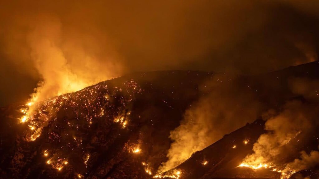 Como a Crise Climática Afeta o Brasil Impactos e Soluções