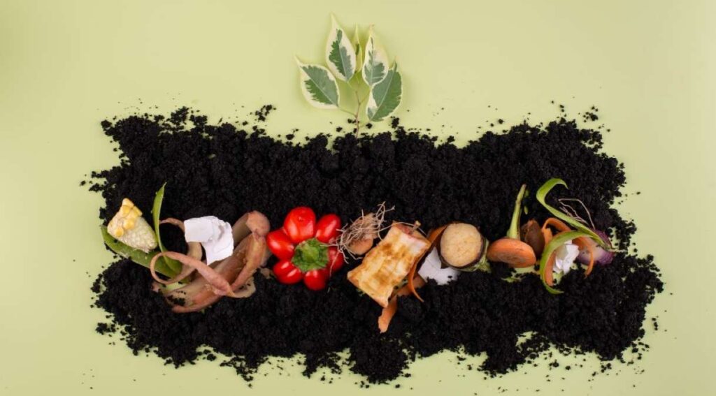 Como Transformar Resíduos Orgânicos em Adubo Guia Completo para uma Compostagem Sustentável