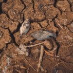 A mudança climática é só mais calor Descubra a verdade