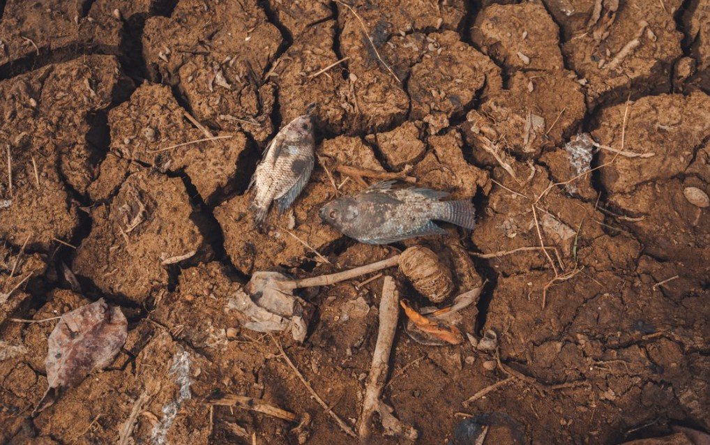 A mudança climática é só mais calor Descubra a verdade