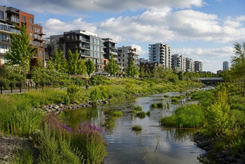 Parque linear urbano com vegetação e área projetada para absorção de água da chuva integrado a edifícios modernos ao fundo.