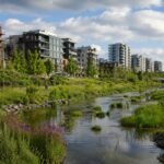 Parque linear urbano com vegetação e área projetada para absorção de água da chuva integrado a edifícios modernos ao fundo.