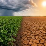 Divisão climática mostrando solo seco de um lado e nuvens de chuva sobre plantação saudável do outro, ilustrando os efeitos contrastantes do clima no Brasil.